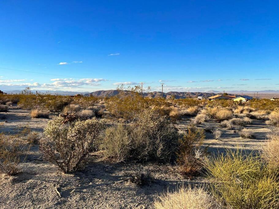 Joshua Tree National Park - Cozy Palms Getaway Leilighet Twentynine Palms Eksteriør bilde