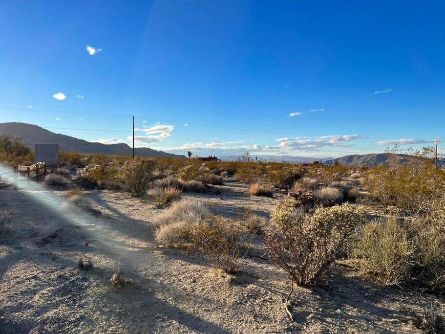 Joshua Tree National Park - Cozy Palms Getaway Leilighet Twentynine Palms Eksteriør bilde